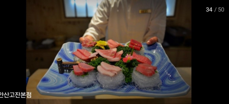 와참치 이미지