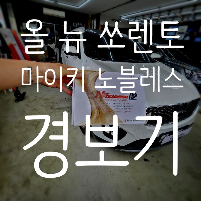 광쓰게러지 이미지