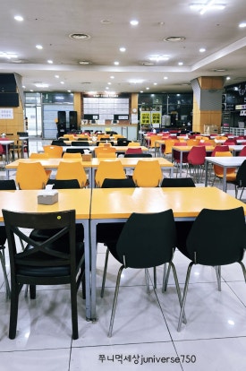 골든디쉬아메리칸차이니즈 이미지
