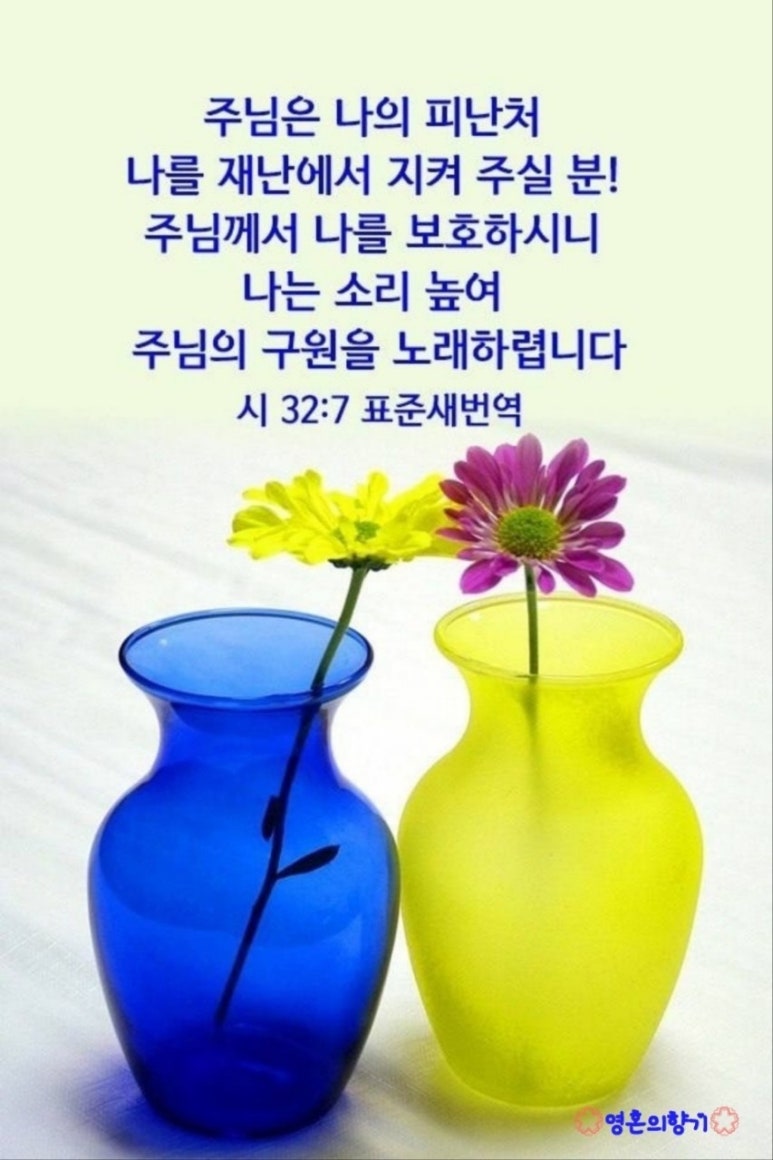 감성살림 이미지