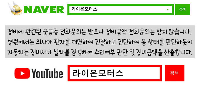 라이온모터스 이미지