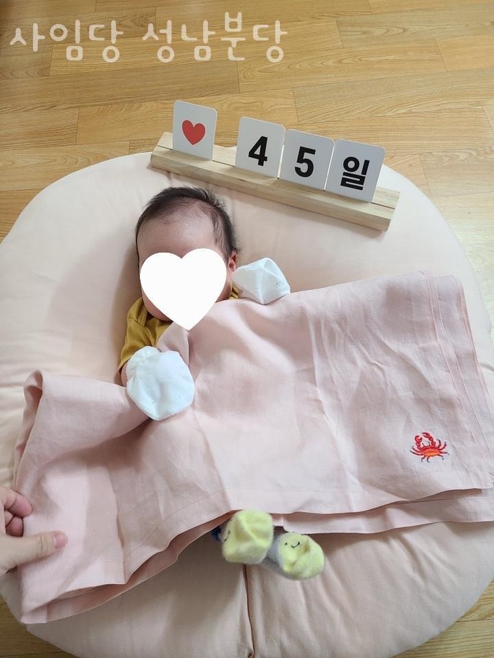 사임당 성남분당 이미지