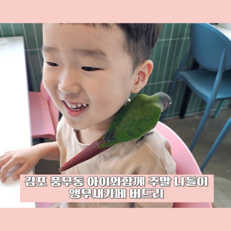버드리김포 이미지