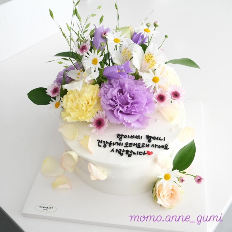 모모앤산격 이미지