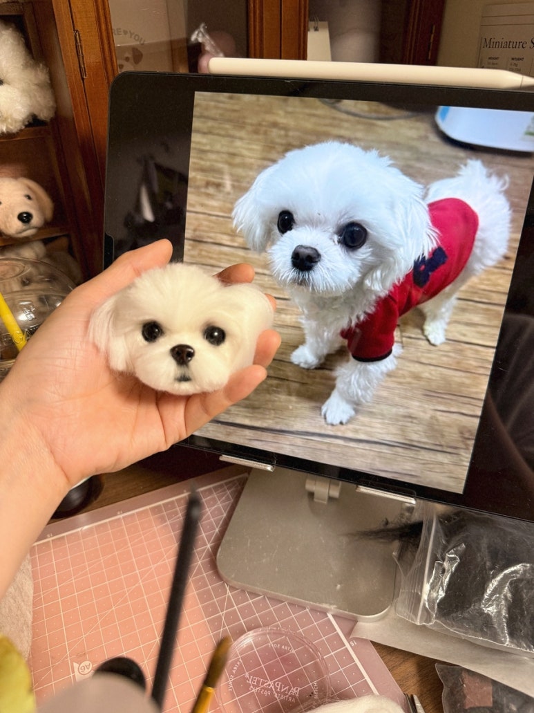 어도어유 이미지