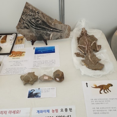 팔레오테이블 이미지
