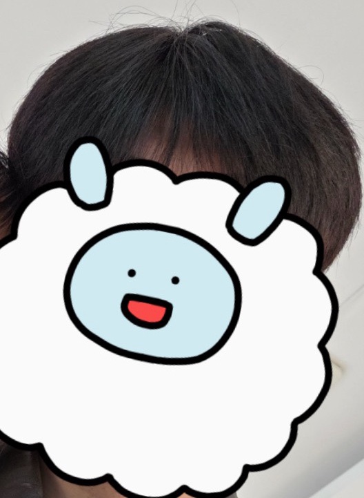 헤어UFO 이미지