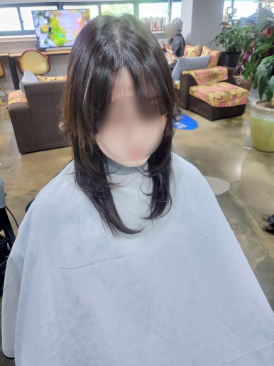 하시모토겐죠미장 이미지