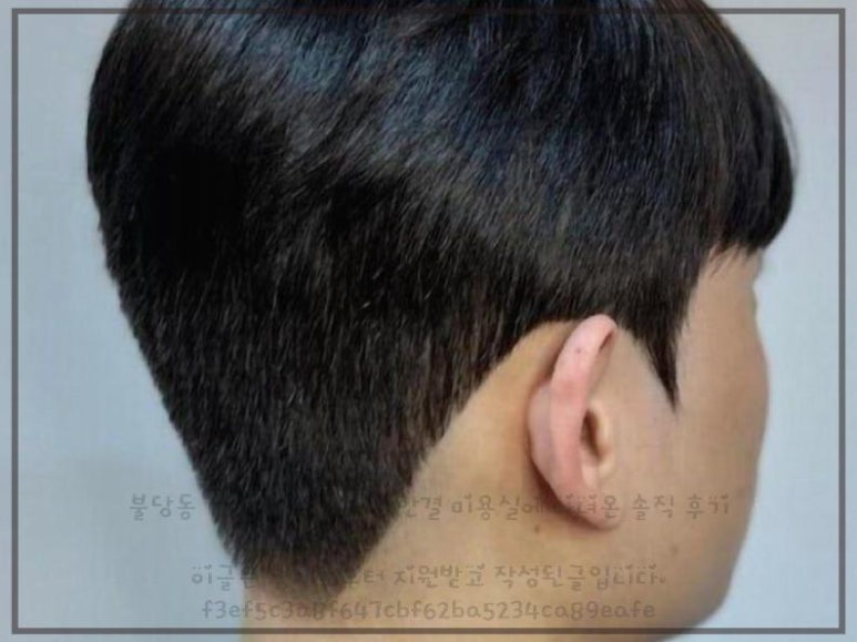 살롱드한 이미지