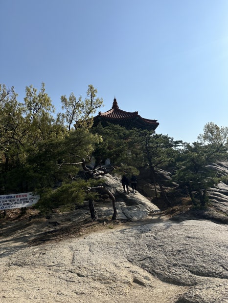 신토불이떡볶이 이미지