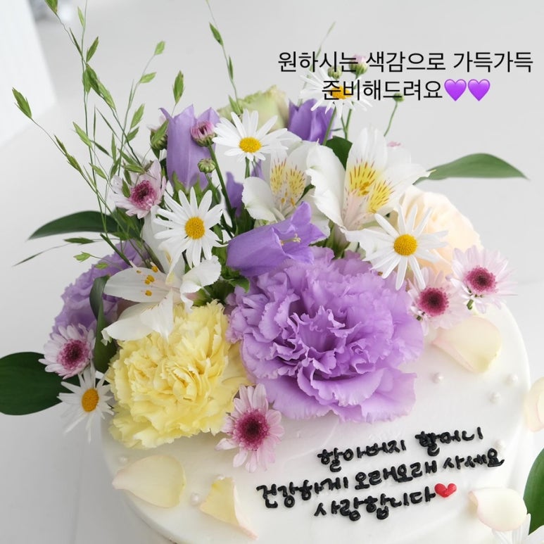 모모앤산격 이미지
