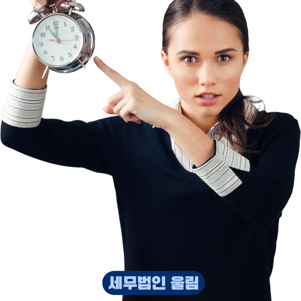 세무법인울림 이미지