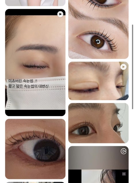 아리솜 이미지