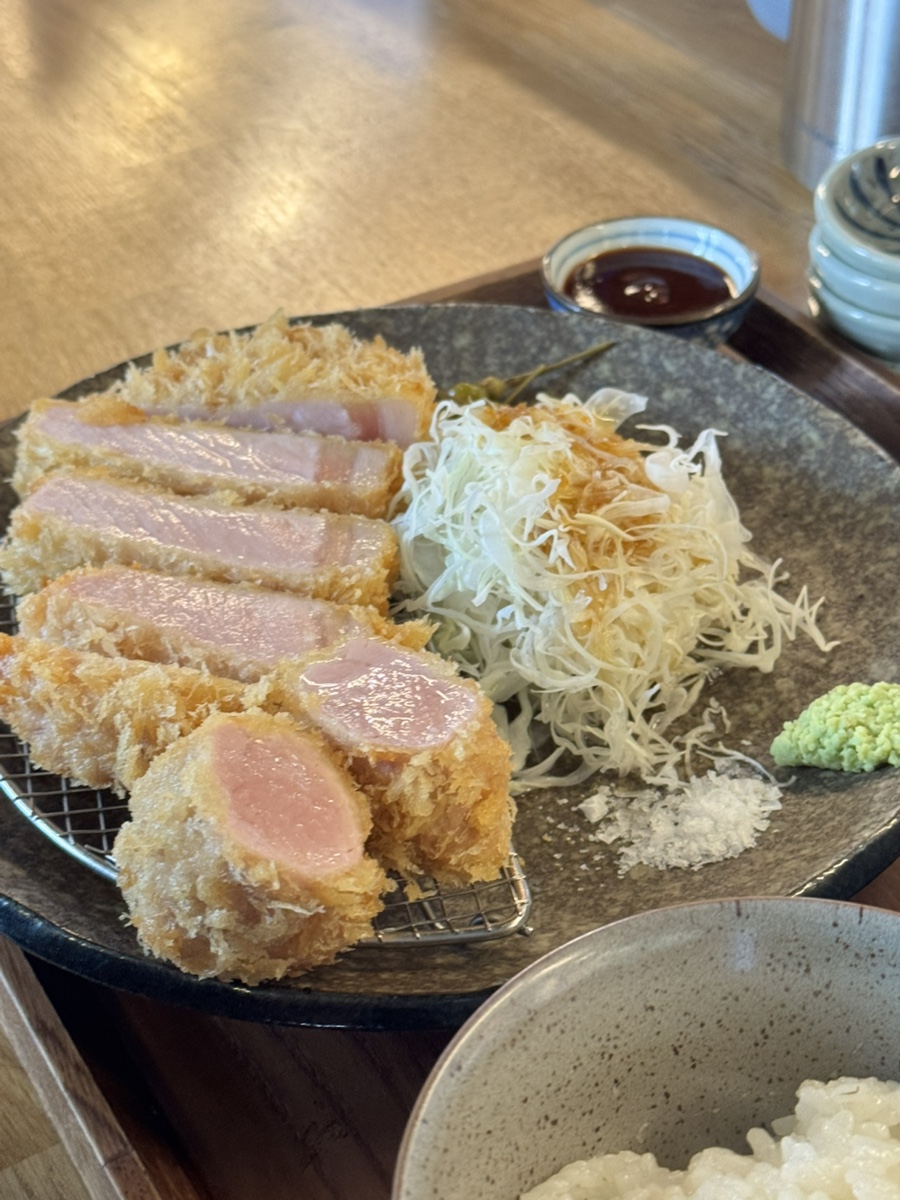 카츠닉 이미지