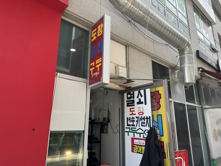 하늘수선 이미지