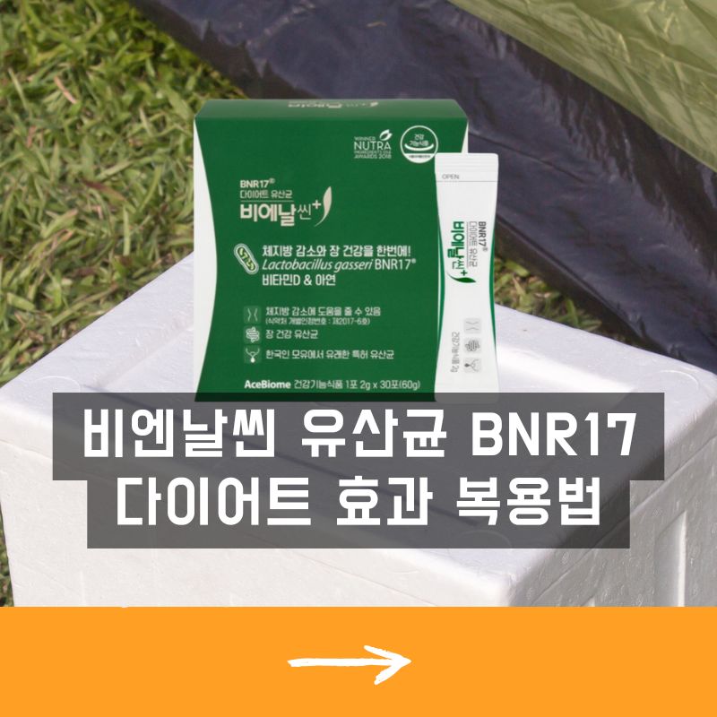 비엔글로벌 이미지