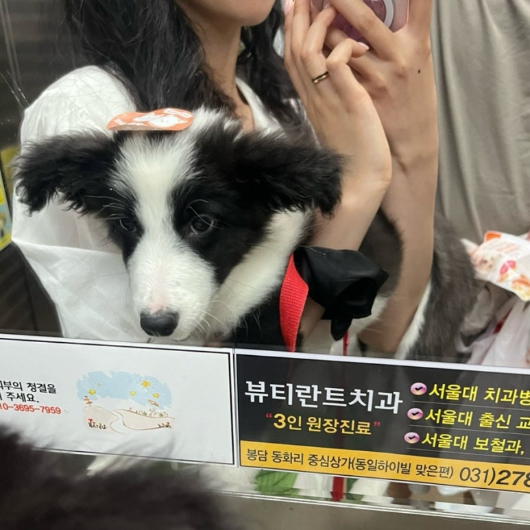 휘화찬란 이미지