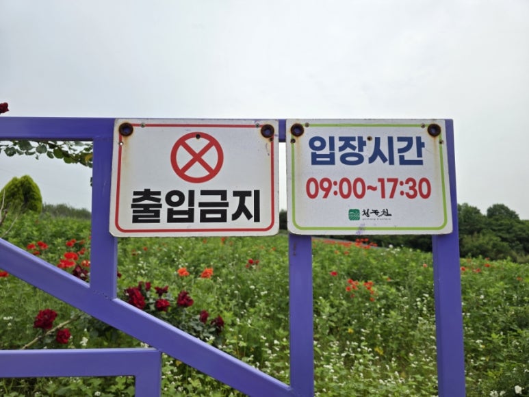 카페청 이미지
