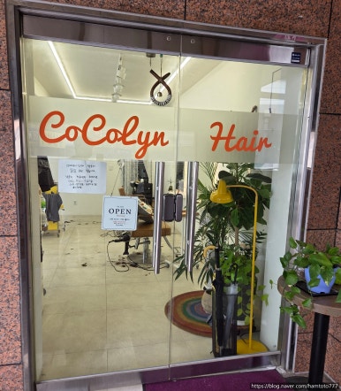 코코린헤어 이미지