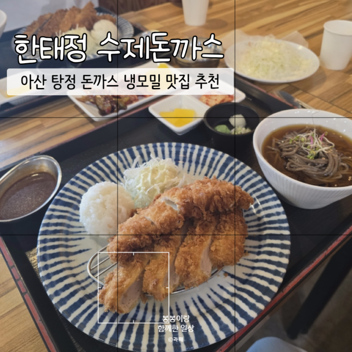 한태정 이미지