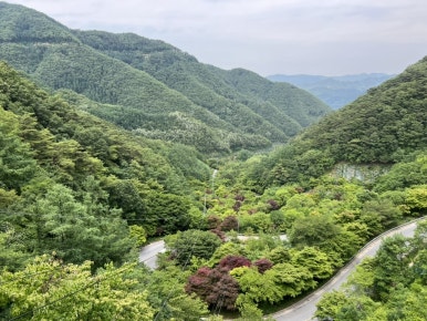 보발재드라이브 이미지