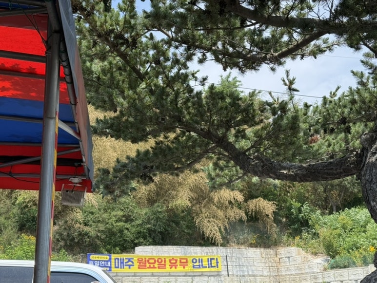 용암마트 이미지