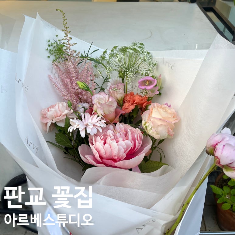 아르베스튜디오 이미지