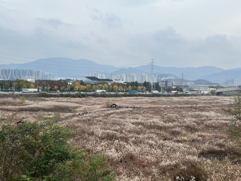 만두고을성서점 이미지