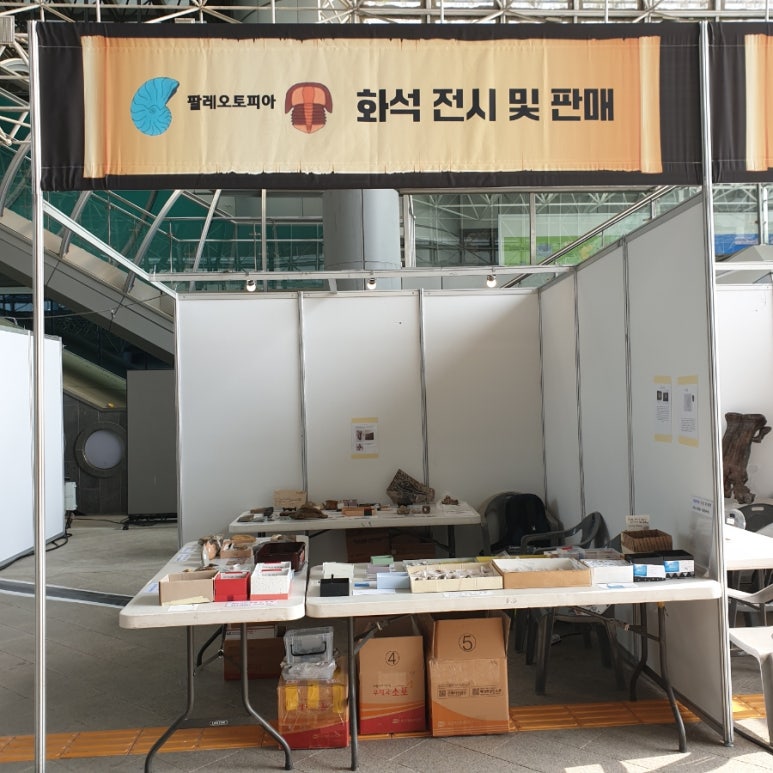 팔레오테이블 이미지