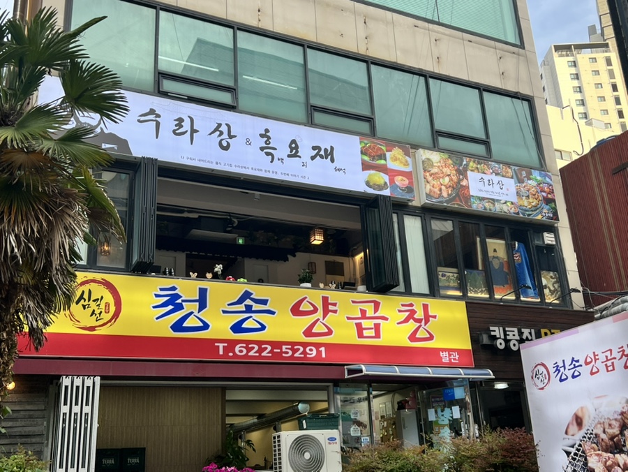 흑요재 이미지