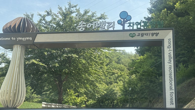 레포밸리 이미지