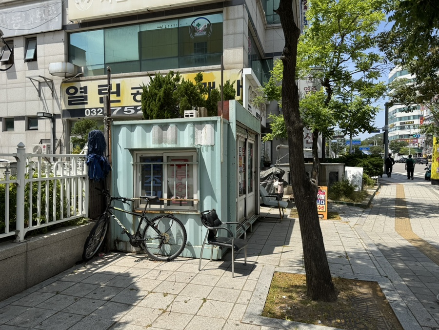 하늘수선 이미지