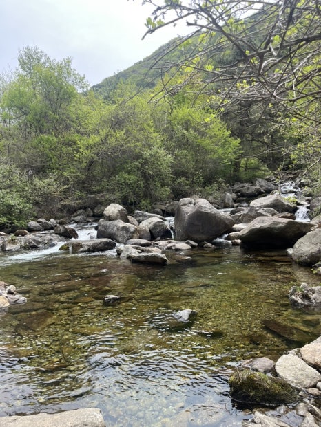 몽벨리펜션 이미지