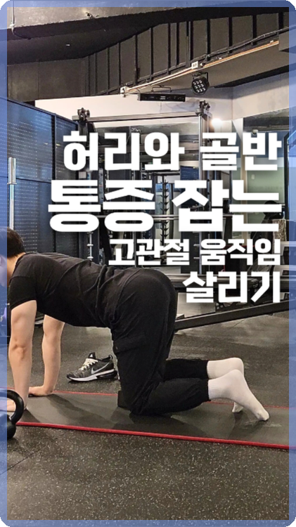 핏포유 이미지