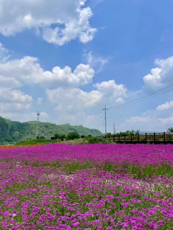 도담행복마을 이미지