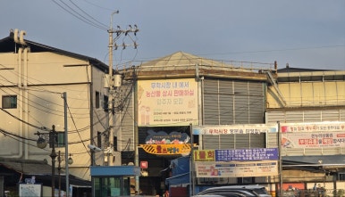 대성야채만두 이미지