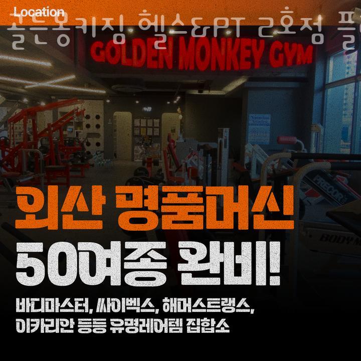 대성헬스 이미지
