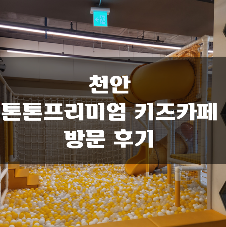 톤톤프리미엄키즈카페 이미지