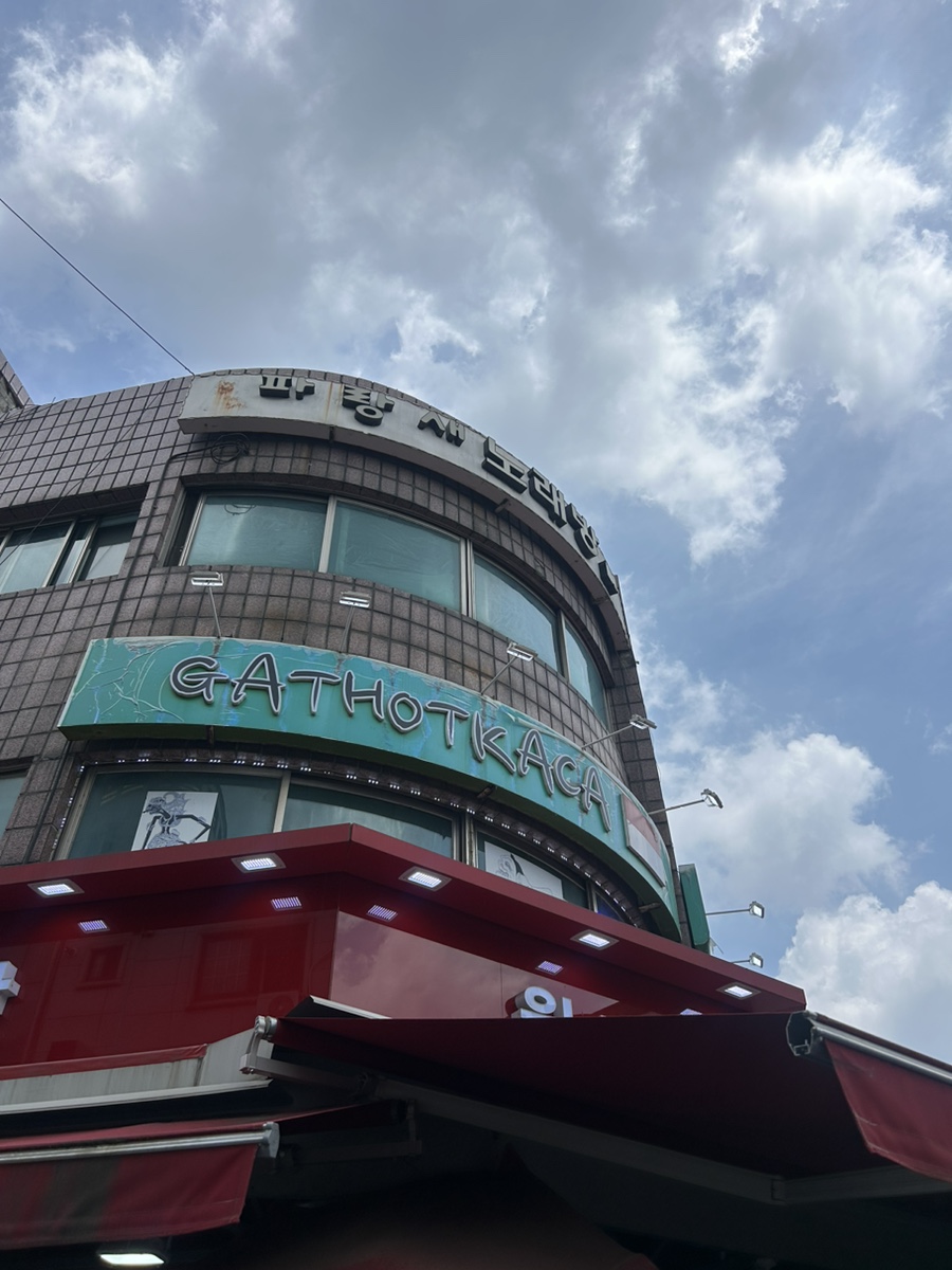 가톳카차 사진 5