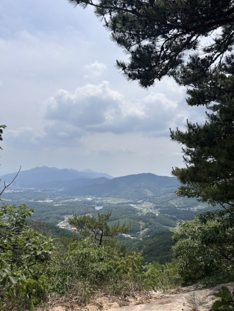 대복주유소 이미지