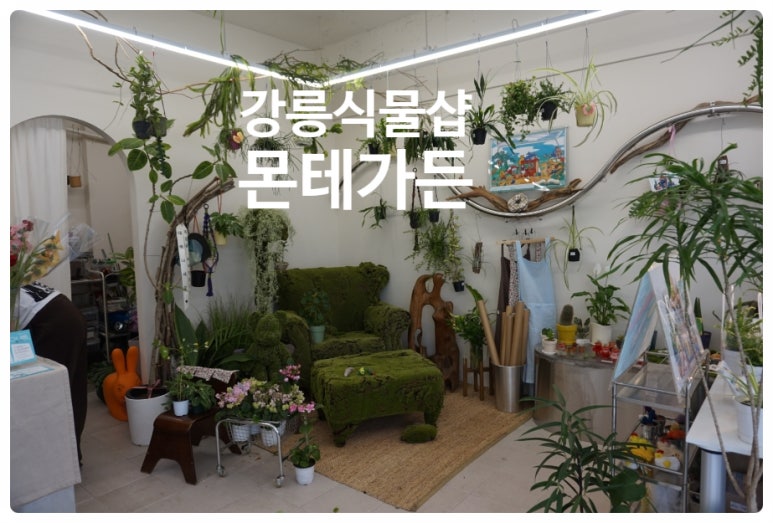 몬테가든 이미지