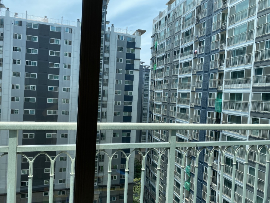 푸른숲청소 이미지