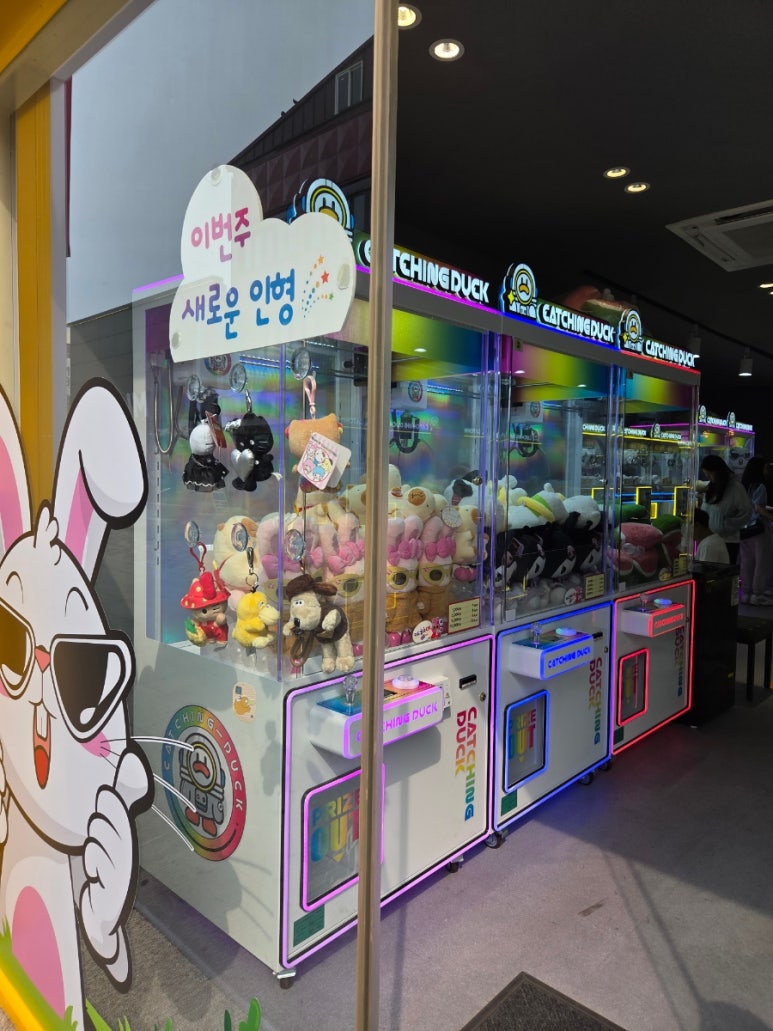 뽑짱 이미지
