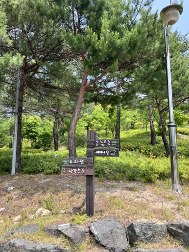 레포밸리 이미지