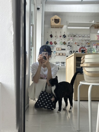 해피키티하우스 이미지