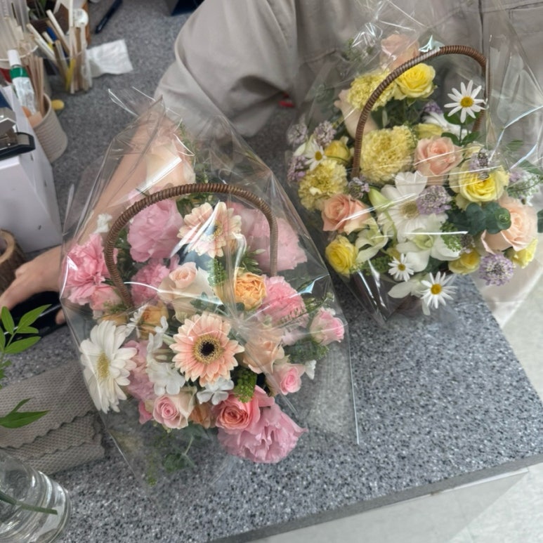 지예로움 이미지