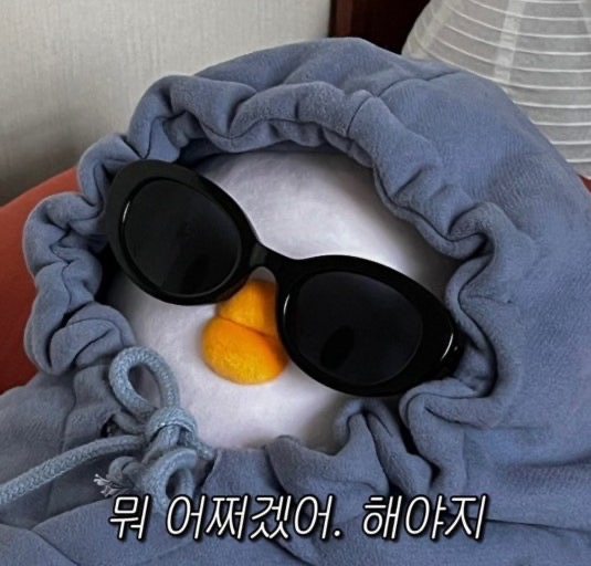딥포레 이미지