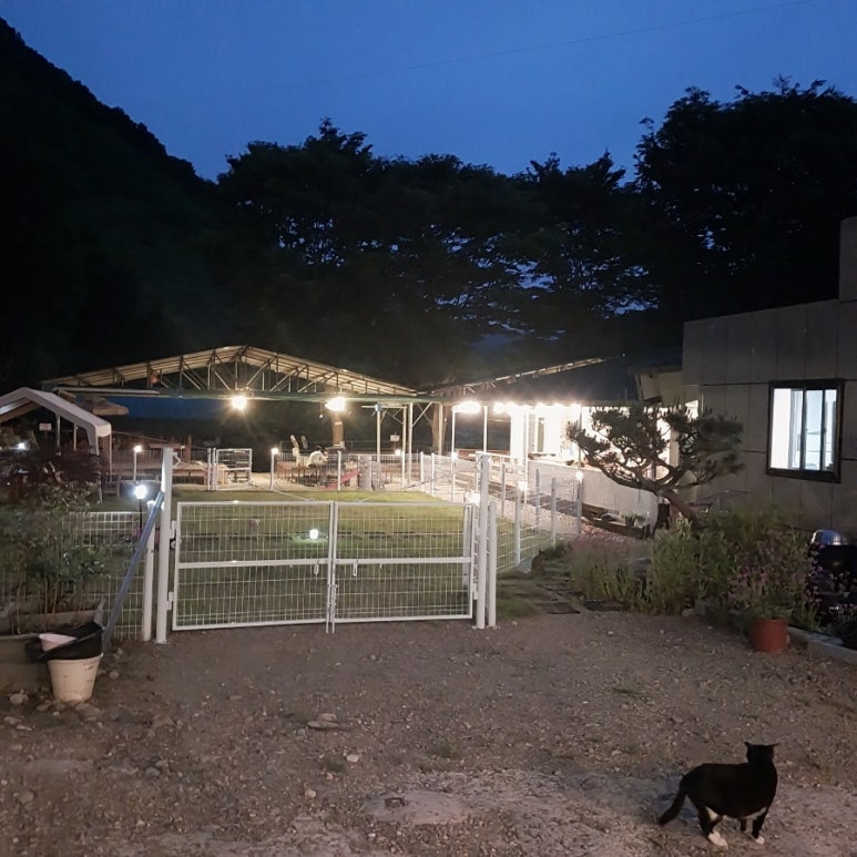 윤서네펜션 이미지