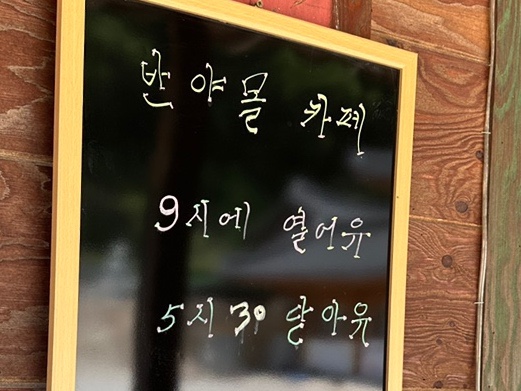 반야몰 이미지