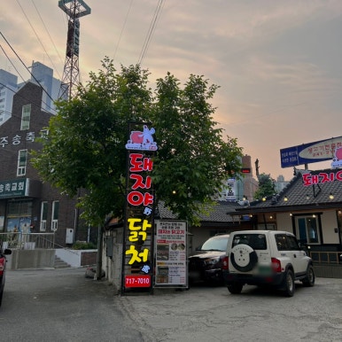 돼지야&닭 이미지
